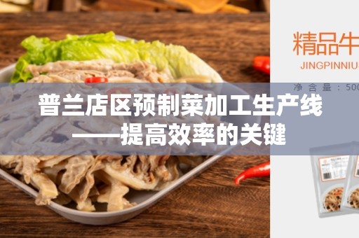 普兰店区预制菜加工生产线——提高效率的关键