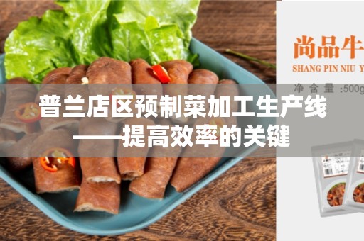 普兰店区预制菜加工生产线——提高效率的关键