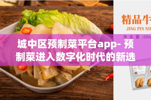 城中区预制菜平台app- 预制菜进入数字化时代的新选择