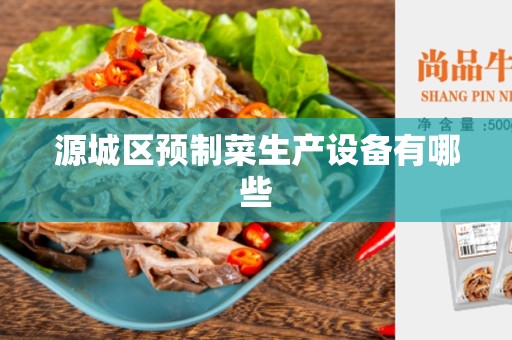 源城区预制菜生产设备有哪些