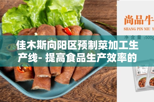 佳木斯向阳区预制菜加工生产线- 提高食品生产效率的利器