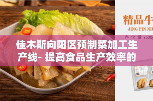 佳木斯向阳区预制菜加工生产线- 提高食品生产效率的利器