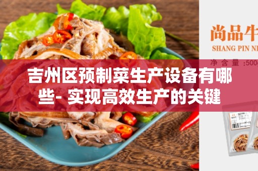 吉州区预制菜生产设备有哪些- 实现高效生产的关键