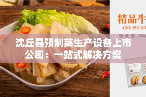 沈丘县预制菜生产设备上市公司：一站式解决方案
