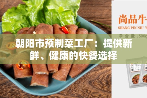 朝阳市预制菜工厂：提供新鲜、健康的快餐选择