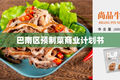 巴南区预制菜商业计划书