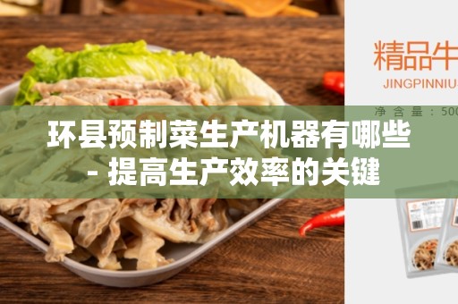 环县预制菜生产机器有哪些 - 提高生产效率的关键