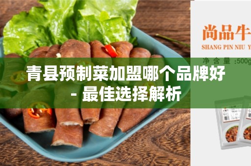 青县预制菜加盟哪个品牌好- 最佳选择解析