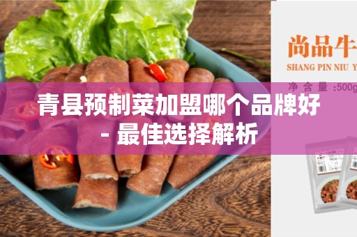 青县预制菜加盟哪个品牌好- 最佳选择解析