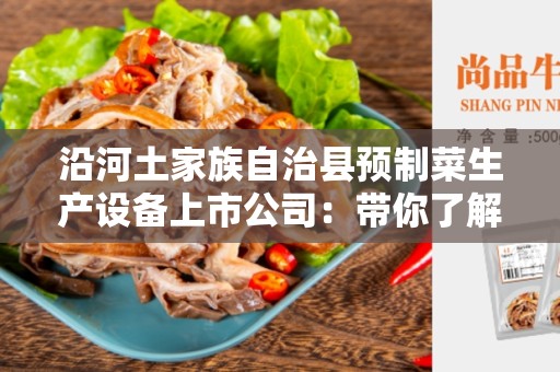 沿河土家族自治县预制菜生产设备上市公司：带你了解预制菜行业的发展趋势