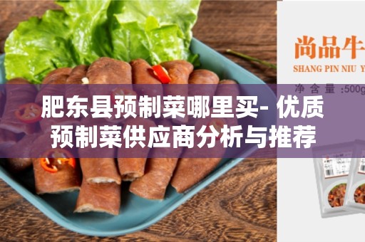 肥东县预制菜哪里买- 优质预制菜供应商分析与推荐