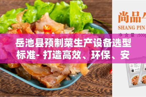 岳池县预制菜生产设备选型标准- 打造高效、环保、安全的生产线