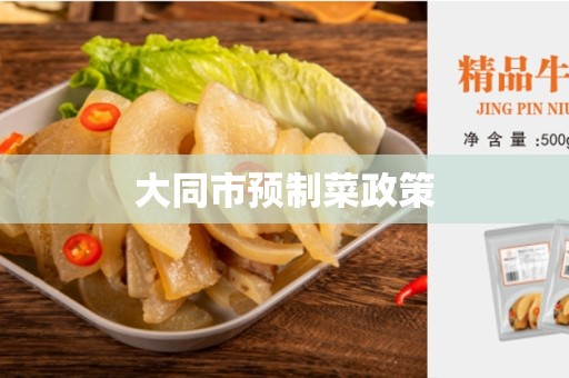 大同市预制菜政策