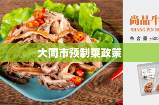 大同市预制菜政策