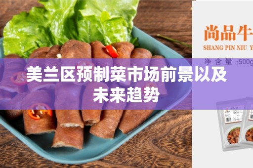 美兰区预制菜市场前景以及未来趋势
