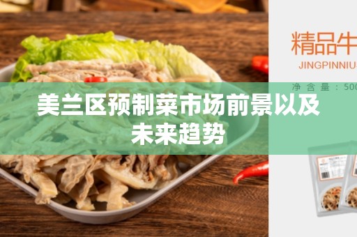美兰区预制菜市场前景以及未来趋势