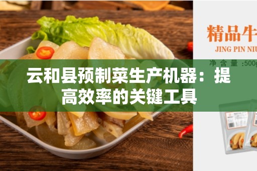 云和县预制菜生产机器：提高效率的关键工具