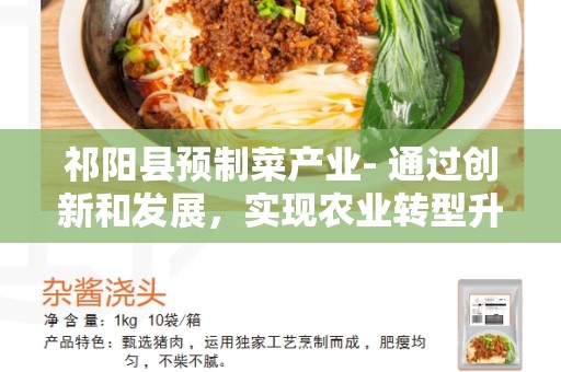 祁阳县预制菜产业- 通过创新和发展，实现农业转型升级