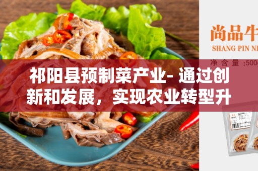 祁阳县预制菜产业- 通过创新和发展，实现农业转型升级