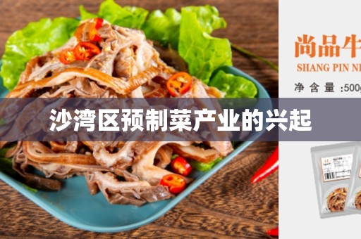 沙湾区预制菜产业的兴起