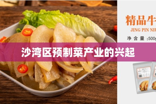 沙湾区预制菜产业的兴起