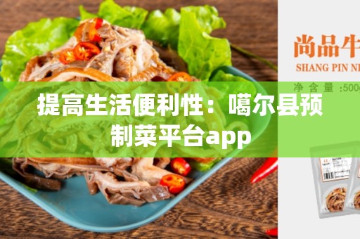 提高生活便利性：噶尔县预制菜平台app