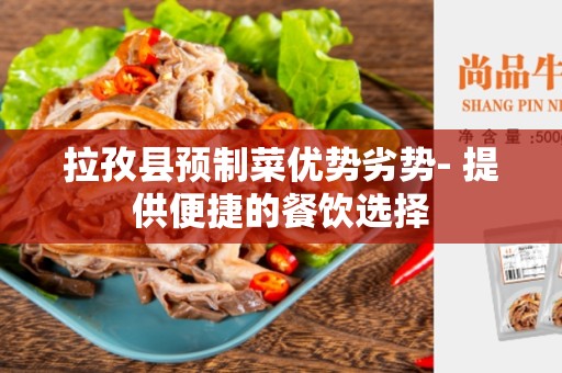 拉孜县预制菜优势劣势- 提供便捷的餐饮选择