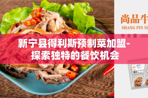新宁县得利斯预制菜加盟- 探索独特的餐饮机会