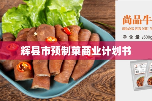 辉县市预制菜商业计划书