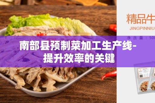 南部县预制菜加工生产线- 提升效率的关键