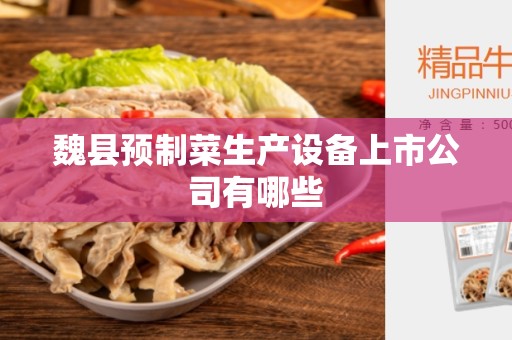 魏县预制菜生产设备上市公司有哪些
