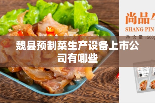 魏县预制菜生产设备上市公司有哪些