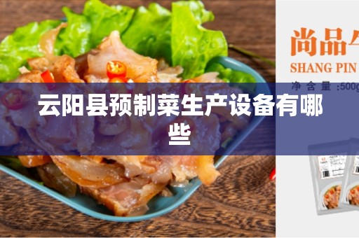 云阳县预制菜生产设备有哪些