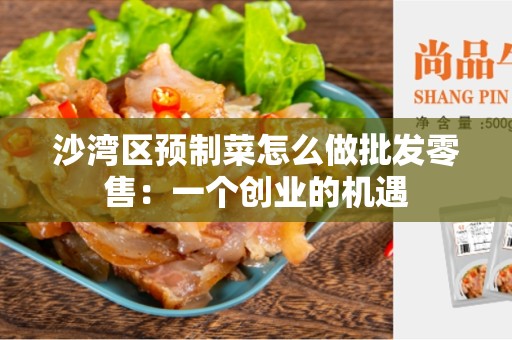 沙湾区预制菜怎么做批发零售：一个创业的机遇