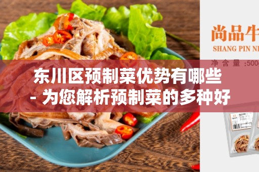 东川区预制菜优势有哪些 - 为您解析预制菜的多种好处