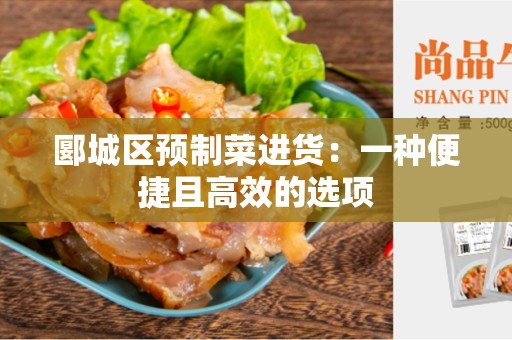 郾城区预制菜进货：一种便捷且高效的选项