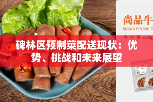碑林区预制菜配送现状：优势、挑战和未来展望
