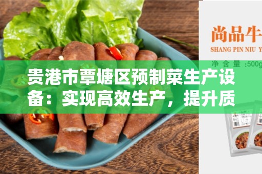 贵港市覃塘区预制菜生产设备：实现高效生产，提升质量
