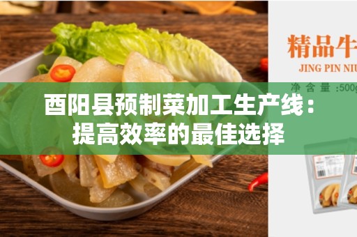 酉阳县预制菜加工生产线：提高效率的最佳选择