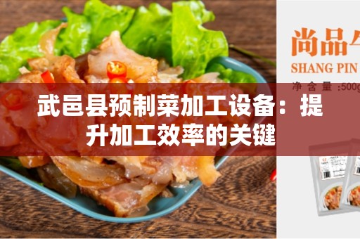 武邑县预制菜加工设备：提升加工效率的关键
