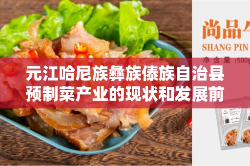 元江哈尼族彝族傣族自治县预制菜产业的现状和发展前景