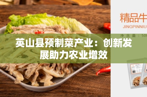英山县预制菜产业：创新发展助力农业增效