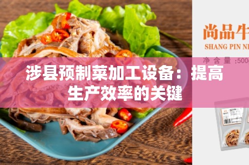 涉县预制菜加工设备：提高生产效率的关键