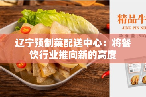 辽宁预制菜配送中心：将餐饮行业推向新的高度
