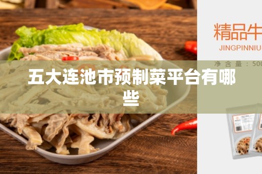 五大连池市预制菜平台有哪些