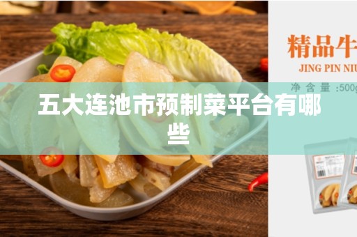 五大连池市预制菜平台有哪些