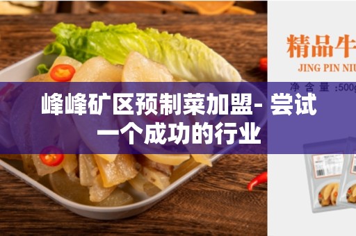 峰峰矿区预制菜加盟- 尝试一个成功的行业