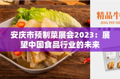 安庆市预制菜展会2023：展望中国食品行业的未来