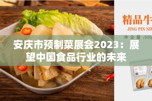 安庆市预制菜展会2023：展望中国食品行业的未来