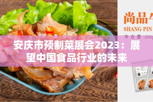 安庆市预制菜展会2023：展望中国食品行业的未来
